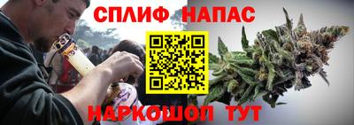 сатива Ливны