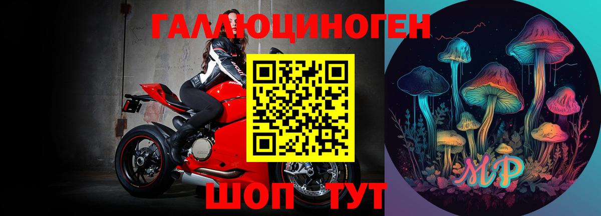 Карачаевск  Галлюциногенные грибы GOLDEN TEACHER  Вход с VPN 